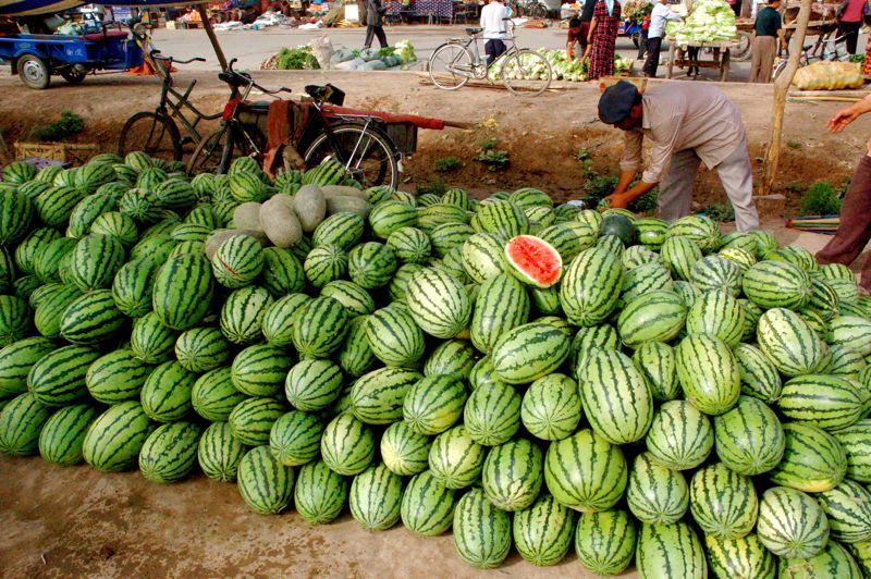 Kashgar Watermelon Kashgar Watermelon